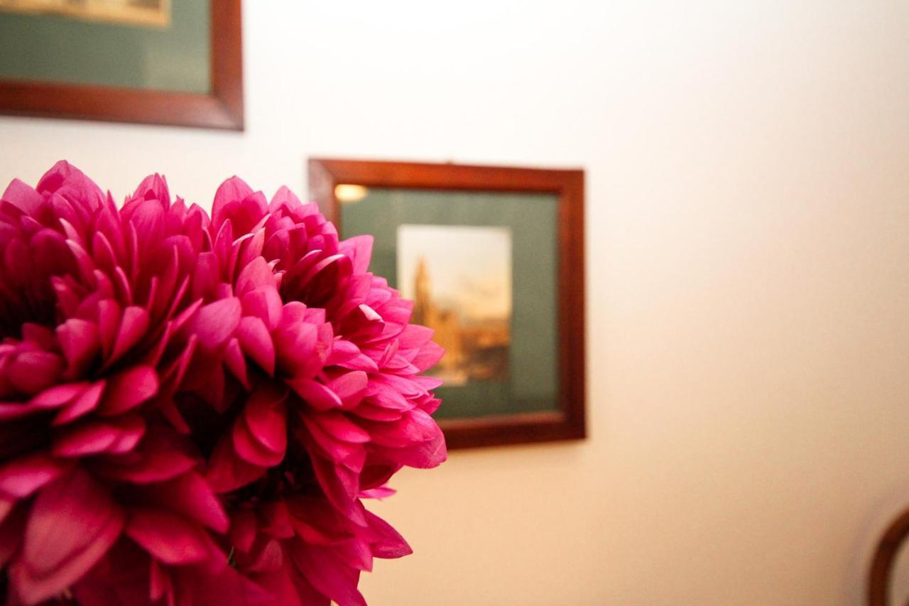 Yourbanflat Santa Rosa * Padova